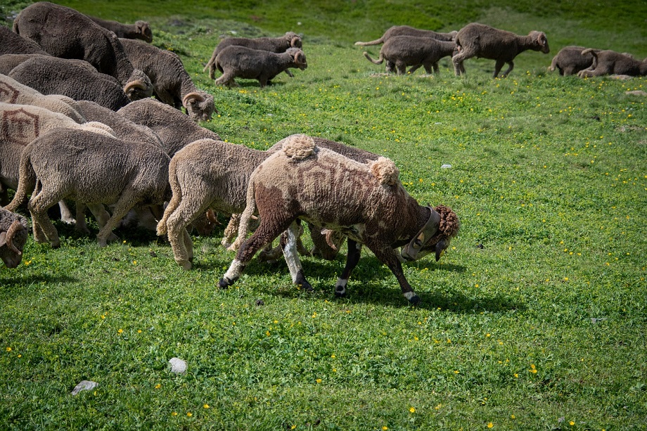  Τα .. βαφτίσια…