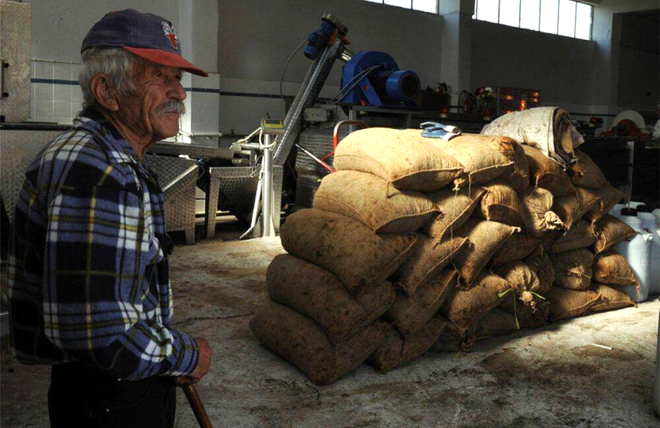 Στις 25 Ιουνίου πληρώνονται οι αγροτικές συντάξεις Ιουλίου