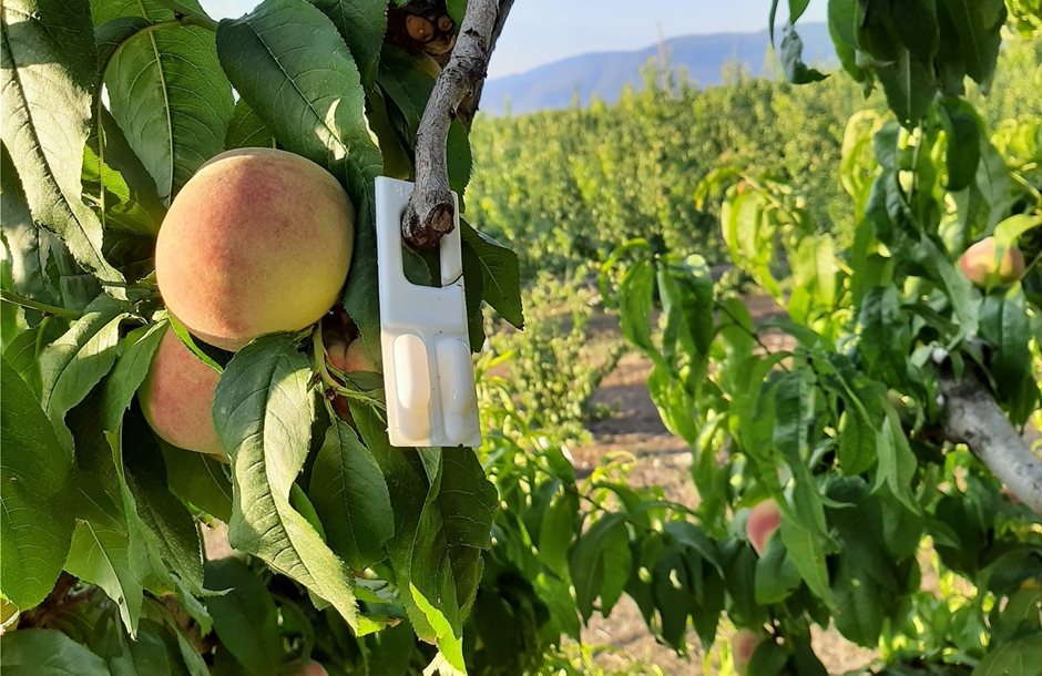 Ενστάσεις έως 9 Αυγούστου για Κομφούζιο, μέχρι 19 του μήνα για Απονιτροποίηση