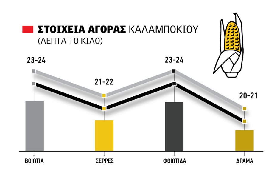 Έπιασε 24 λεπτά το εγχώριο καλαμπόκι, ανοδικά στα 25 λεπτά τα CIF της Ρουμανίας