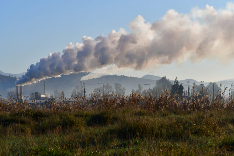 Οι πρώτες μετρήσεις στην Ελλάδα για την συμβολή της πρωτογενούς παραγωγής στην απορρόφηση του διοξειδίου του άνθρακα