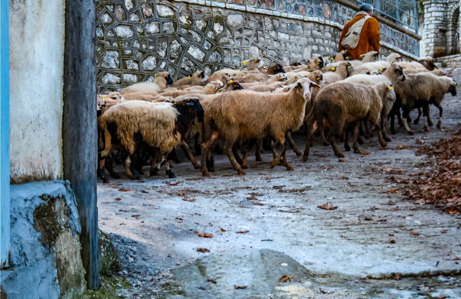 ΟΠΕΚΕΠΕ: Από σήμερα οι ενστάσεις για την εξισωτική αποζημίωση – Η προθεσμία και η διαδικασία