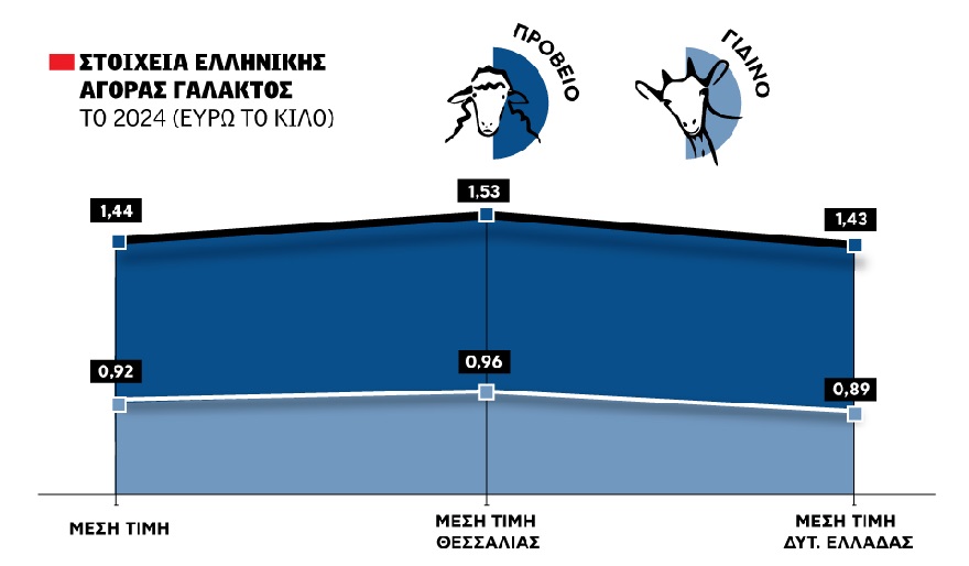 Πατάει ξανά στο 1,52 ευρώ το πρόβειο γάλα με ώθηση από ανταγωνισμό λόγω έλλειψης