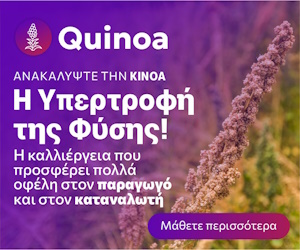 Quinoa Υπερτροφή της φύσης